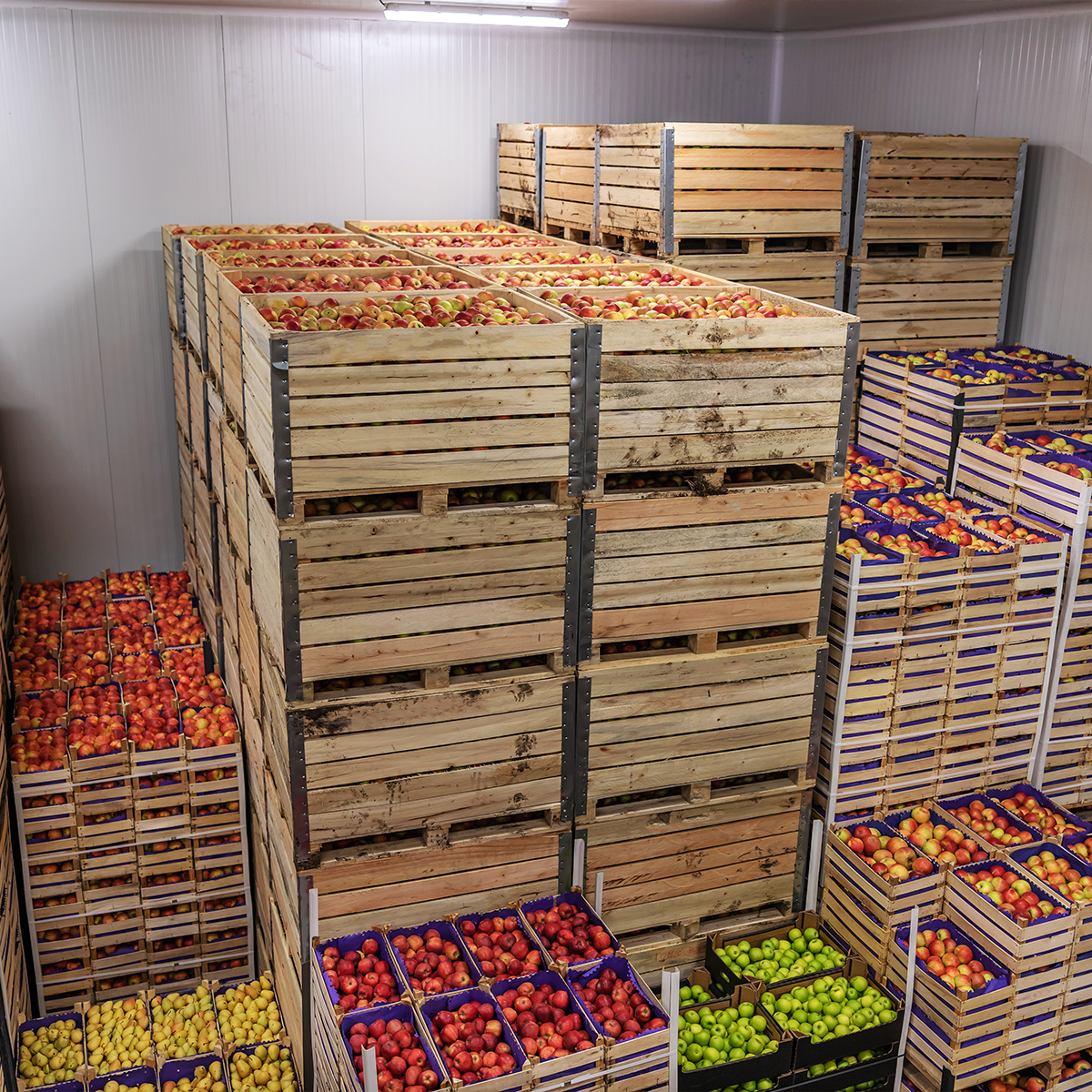 Cold room designed for storing fresh fruits and vegetables
