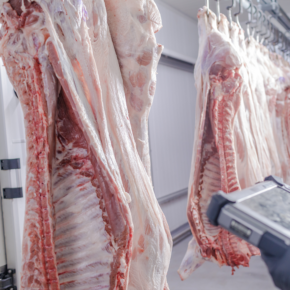 Cold storage room used for preserving fresh and frozen meat